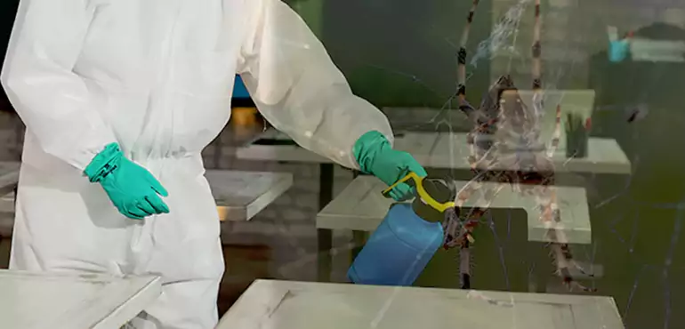 Why Buyers Still Want Homes With Pest Infestations in Aurora, CO?