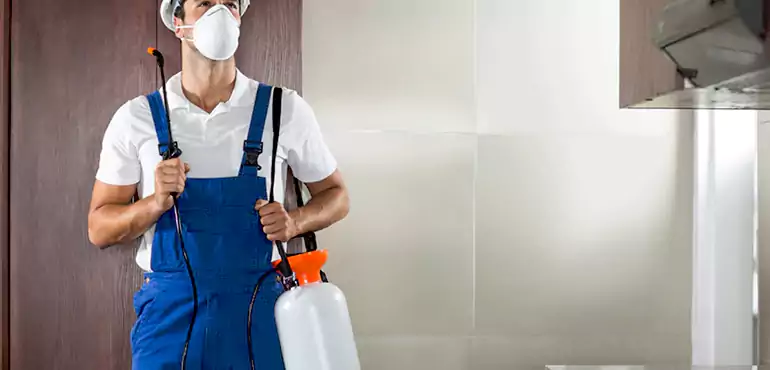 Why Aurora Homeowners Choose Us When Pests Make Selling Difficult