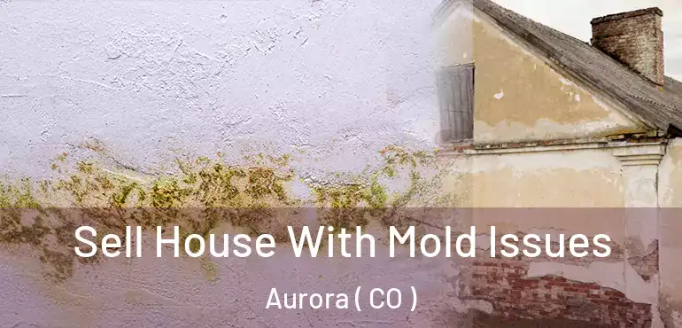  Sell House With Mold Issues Aurora ( CO )